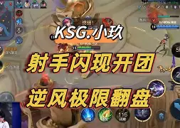 立陶宛队员破天荒放手一搏的简单介绍